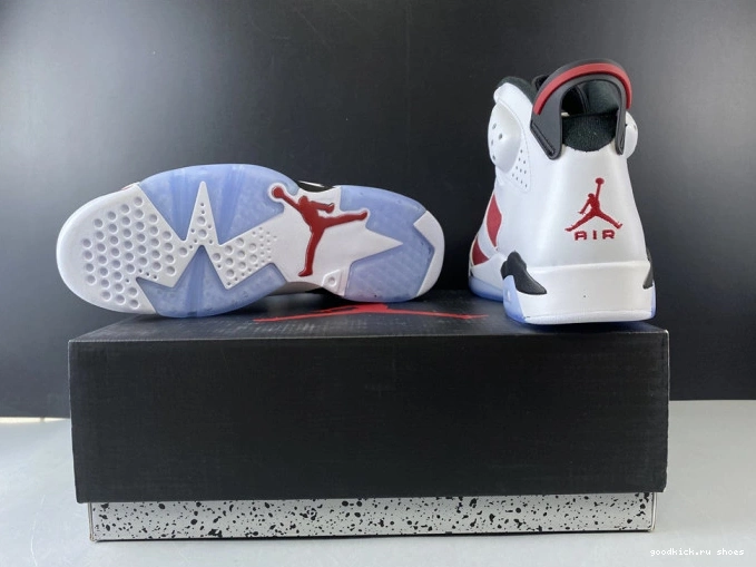 Rep RETRO 6 AIR 384664-160 2014 'CARMINE' JORDAN 0729